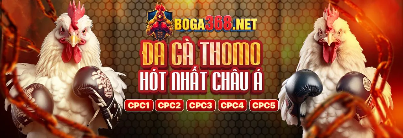 Hình ảnh minh họa bảo mật tài khoản FSbet